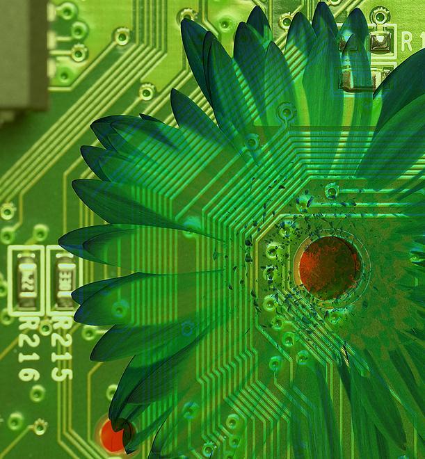 Giustizia e ambiente Una nuova via per uscire dalla crisi 