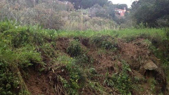 Cinghiali fra le case, dopo Bucine ora a Val di Denari