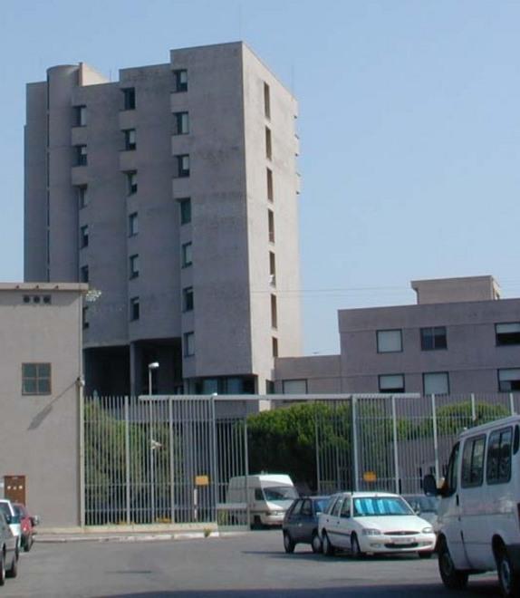 Colle, è guerra alle processionarie 