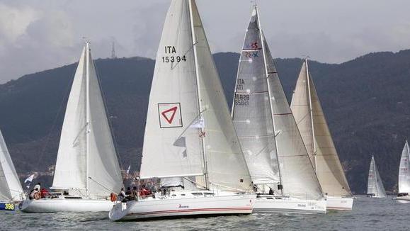 Viareggio perde anche la Regata dei cetacei: la gara emigrata a La Spezia