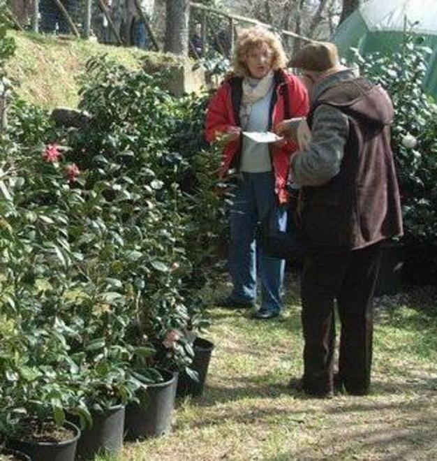 Trend dei visitatori in crescita nella Piana
