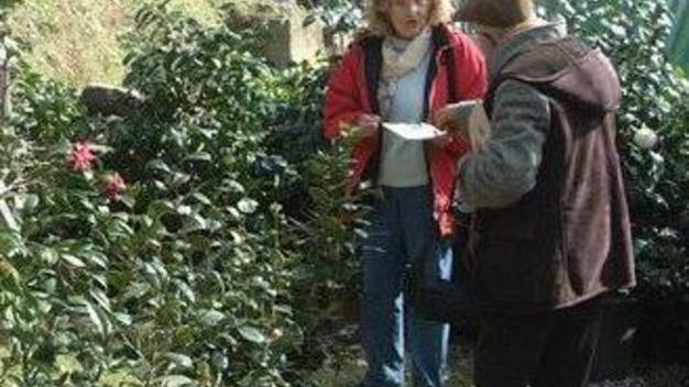 Trend dei visitatori in crescita nella Piana