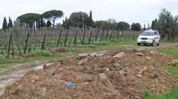 Sequestro in un’azienda vinicola
