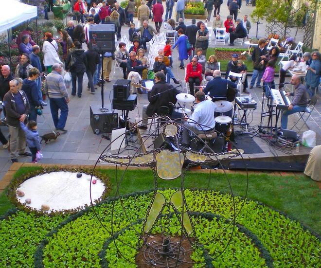 Il centro di Camaiore come un grande orto tutto da scoprire 