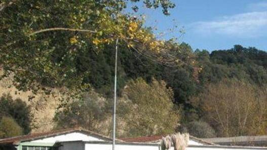 Aziende a San Quirico tra disagi e pochi servizi
