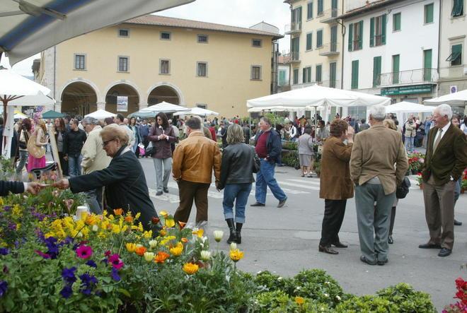 Sbocciano i fiori in piazza Giusti 