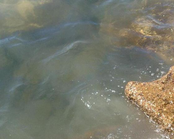 Grosso sversamento di liquami in mare alla Pianotta 