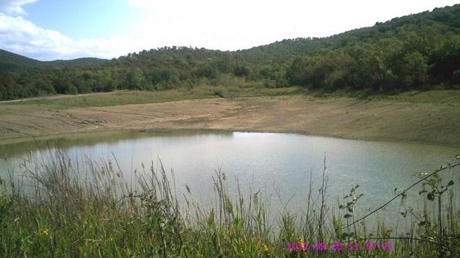 Riotorto, pronti i laghetti per l’irrigazione