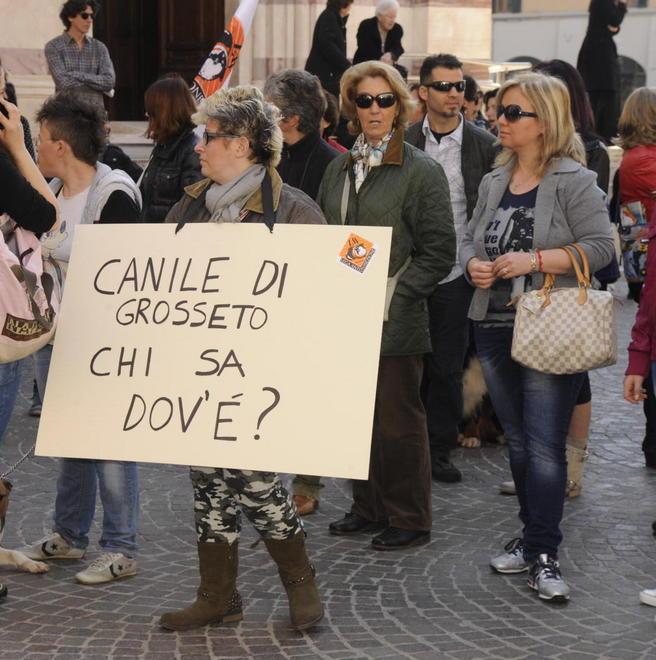 La Lav protesta in piazza «Il canile non funziona» 