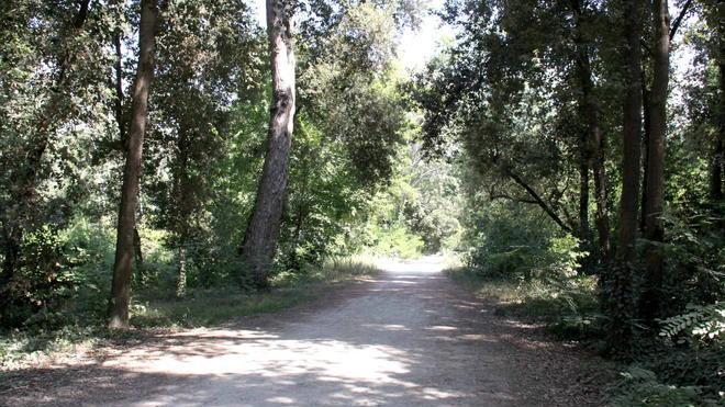 Denunciato per atti osceni nel parco della Versiliana