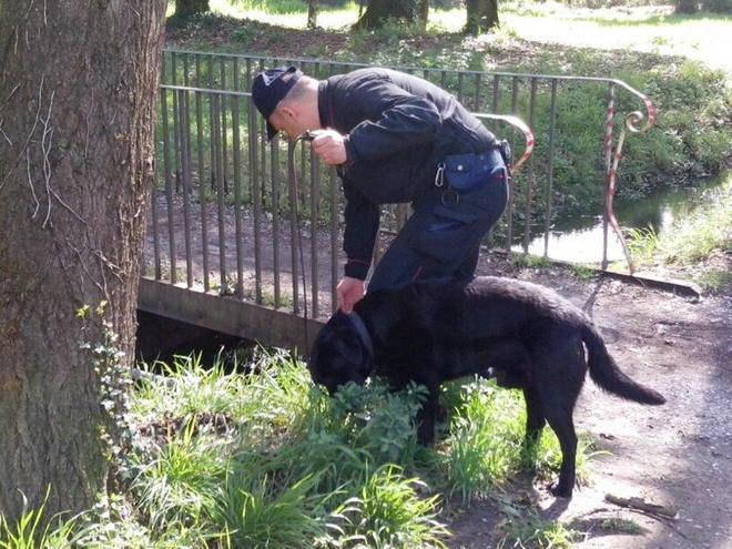 Controlli antispaccio in Pineta: impiegato anche un elicottero 