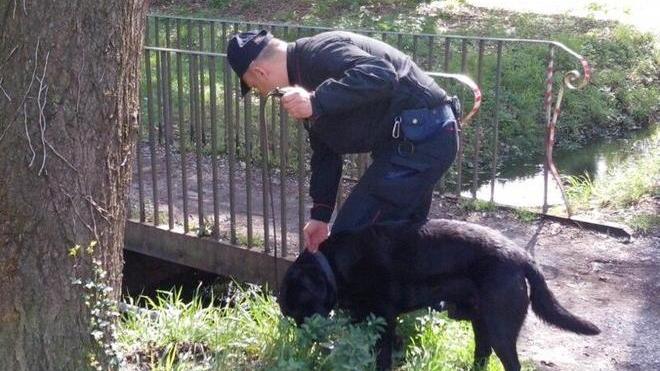 Controlli antispaccio in Pineta: impiegato anche un elicottero
