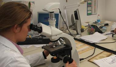 Tumori, scoperti 80 marcatori genetici potenzialmente a rischio 