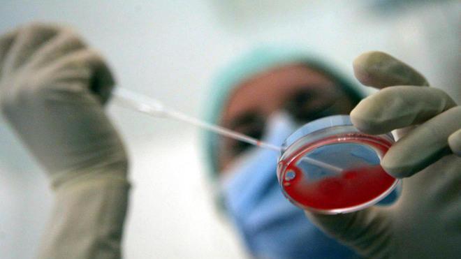 Ospedale Versilia, a rischio declassamento il Centro di procreazione assistita