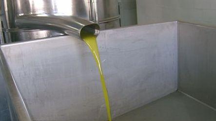 Oliena, “Jumpadu” l’olio d’oliva da primo premio