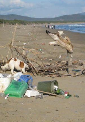 Spiaggia “discarica” è in arrivo il bando per pulire la Feniglia 