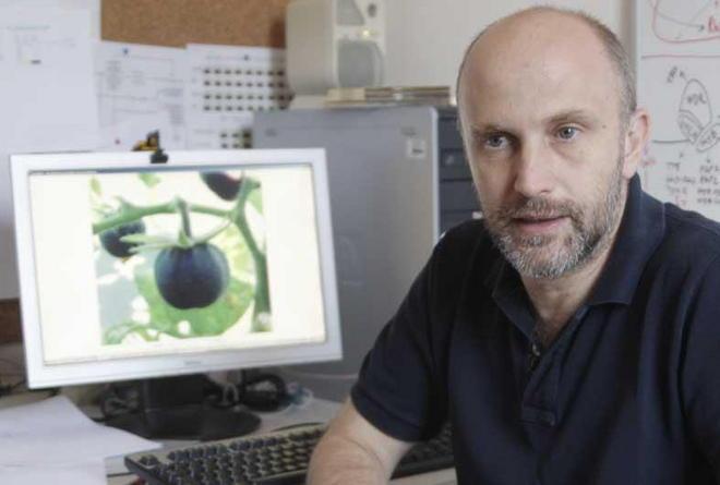 Tar: rinviata udienza del professore escluso dalle elezioni a rettore del Sant’Anna 