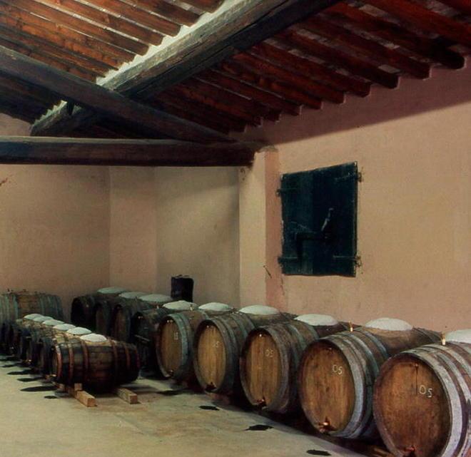 Il Salamartano battè Sassicaia 