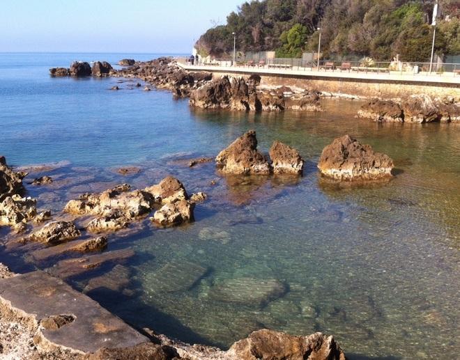 Scomparsa la chiazza di fango dallo scoglio della tartaruga