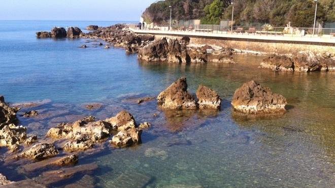 Scomparsa la chiazza di fango dallo scoglio della tartaruga