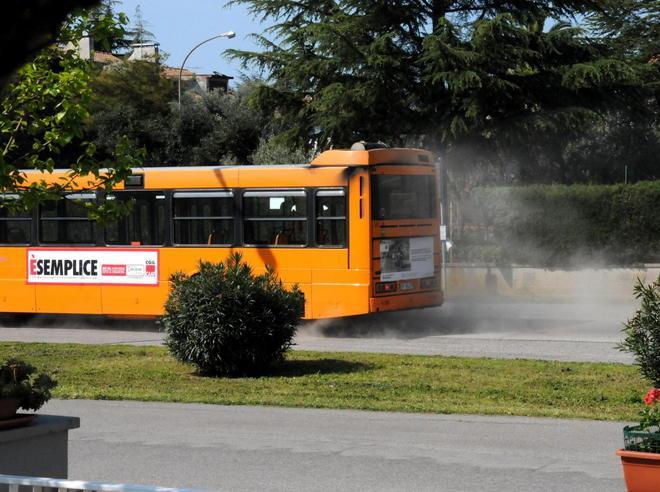 Buche e polvere, proteste a San Luigi 