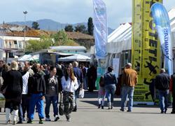 Fiera del Madonnino Si riparte dalla Chianina 