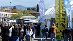 Fiera del Madonnino Si riparte dalla Chianina