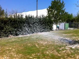 Vandali in azione alla “Alpi” 
