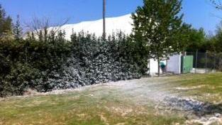 Vandali in azione alla “Alpi”