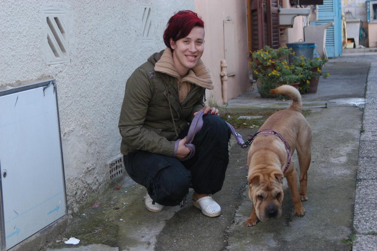 Teresa, cane volante si lancia dalla finestra e mette in fuga i ladri 