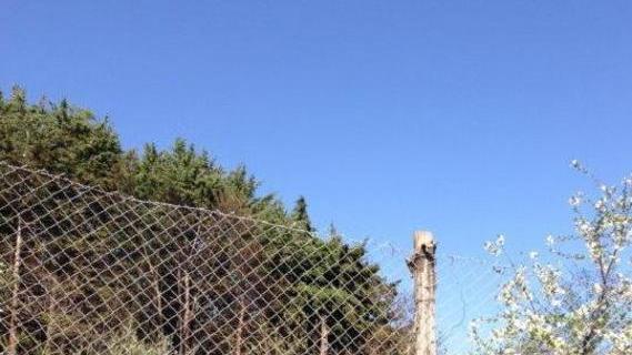 Rubano polli e galline Poi scoppia l’incendio