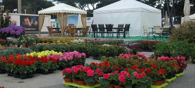 Apertura fino a domenica, nei festivi tutto il giorno, nei feriali dalle 15 alle 20