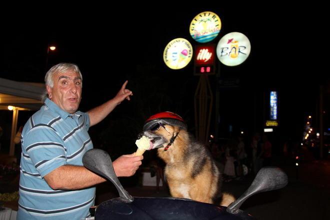 Avvelenato il cane Rocky, risalì l’Italia per tornare dal padrone 
