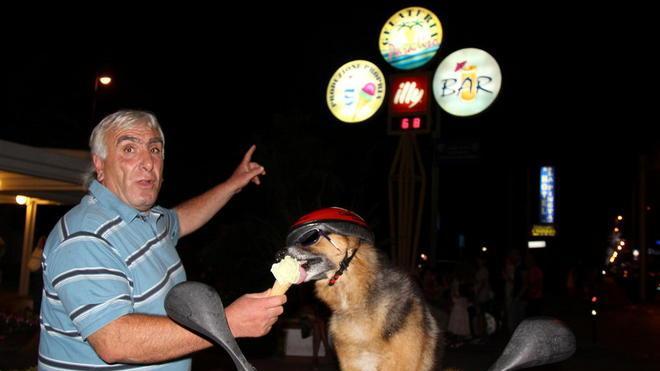 Avvelenato il cane Rocky, risalì l’Italia per tornare dal padrone