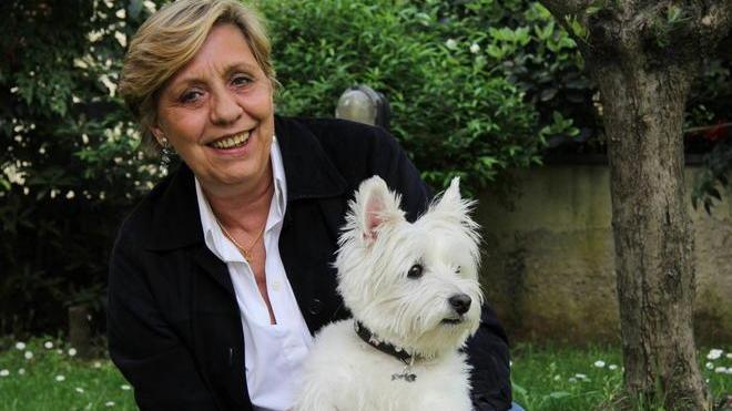 Quei cani sono pericolosi Castellina, monta la rabbia