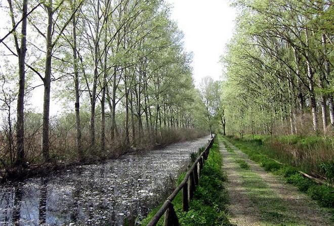 Tappe a Larciano tra natura e storia contadina 