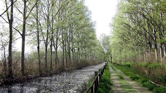 Tappe a Larciano tra natura e storia contadina