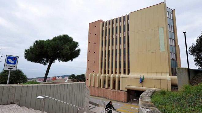 Staminali, aumentano le donazioni del cordone