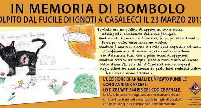 Un manifesto gigante contro la crudeltà 