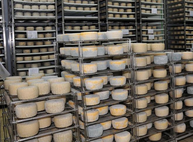 Crac da 2,8 milioni industriale casearia sotto inchiesta 