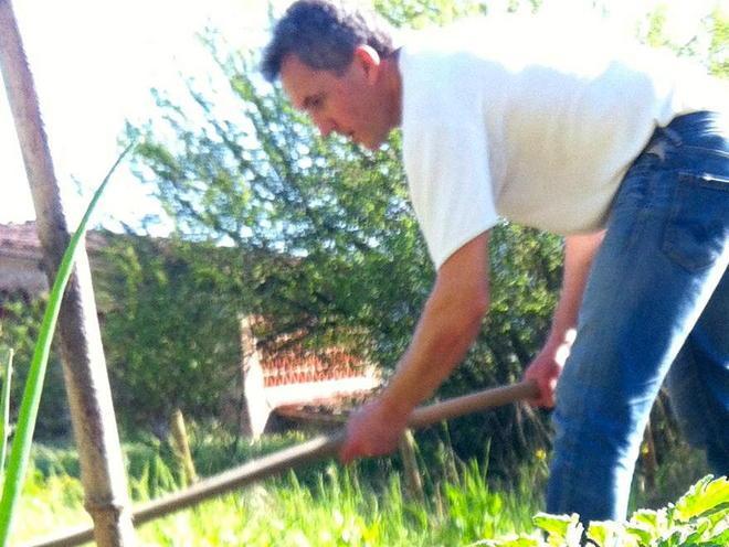 Problemi con lattuga e fagiolini sul terrazzo? Ci pensa il web amico 