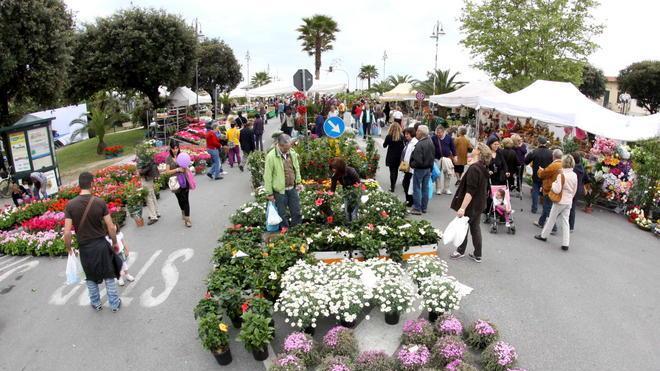 Cinque giorni bellissimi con Marina in Fiore