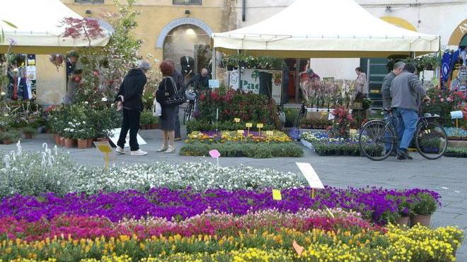 Mostra di Santa Zita, ecco i premiati