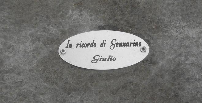 Salvata la memoria del cane vagabondo amato da tutti 