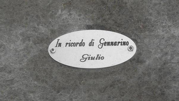 Salvata la memoria del cane vagabondo amato da tutti
