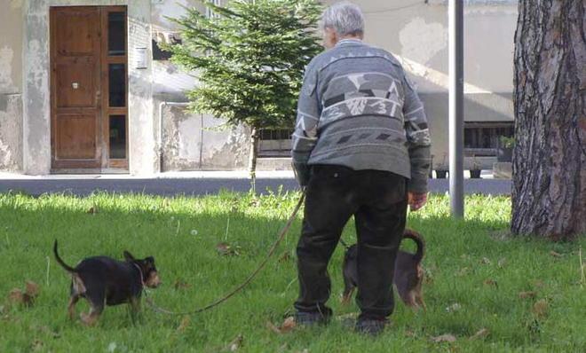 Ancora nessuna traccia dei giardini per i cani