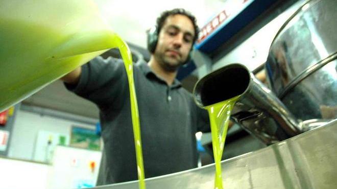 Importazioni crollate e prezzi in ascesa con la legge salva-olio