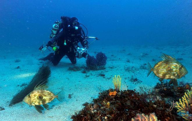 Mediterraneo da salvare, vince il modello Tavolara 
