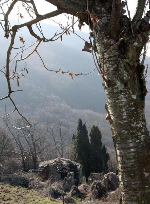 Degrado a Trario I villeggianti «Siamo inascoltati» 
