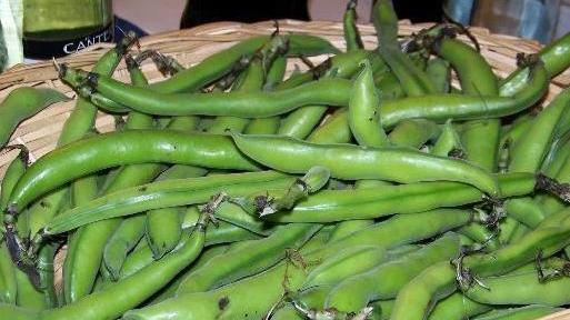 Baccelli vietati in via Garigliano e al villaggio Curiel